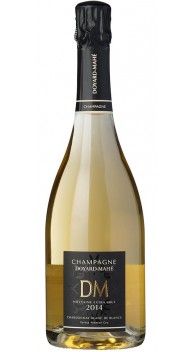 Champagne Millésime Extra Brut - Blanc de Blancs Champagne