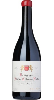 Bourgogne Hautes-Côtes de Nuits Cuvée des Copains - Nye vine