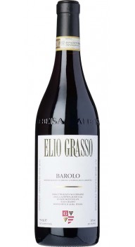 Barolo - Nebbiolo vine