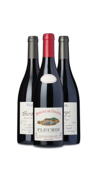 Beaujolais-tema (Vin for begyndere) - Smagekasser / prøvekasser