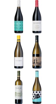 Galicien-kassen Vol. 4 - Nye vine